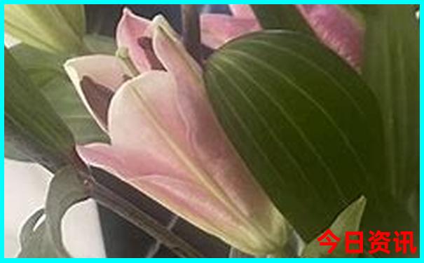 拙政园是哪个城市的著名景点